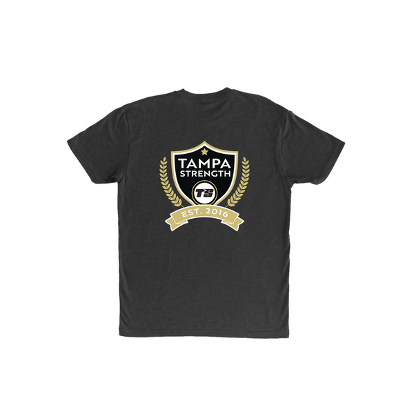 TS -  Award Badge Tri-Blend T-Shirt